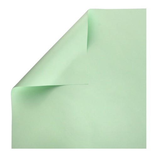 PAPIER RAINBOW GŁADKI ZIELONY JASNY