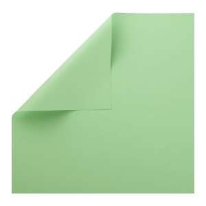 PAPIER RAINBOW GŁADKI ZIELEŃ POLARNA 220G 50 ARK. 297x275