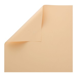 PAPIER RAINBOW GŁADKI KREMOWY 220G 10 ARK. A4