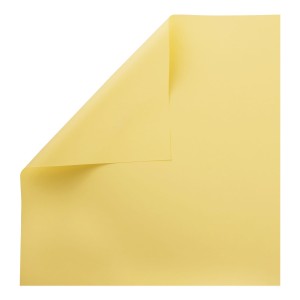 Woodstock Pistacchio 110 g/m2 100 A4